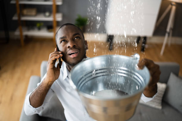 Best Local water damage restoration  in Wetumka, OK