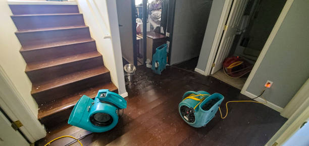 Best Commercial water damage restoration  in Wetumka, OK