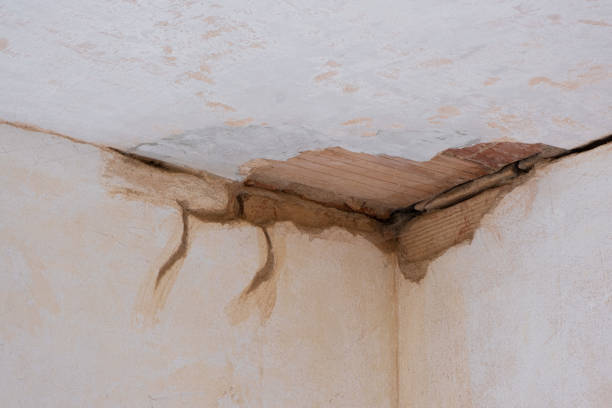  Wetumka, OK Water damage restoration Pros