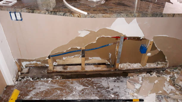 Best Professional water damage repair  in Wetumka, OK