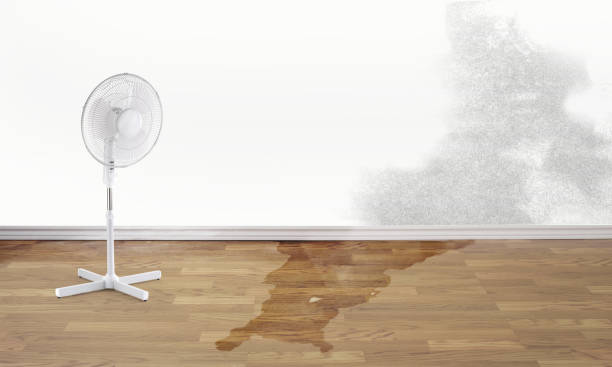 Carpet water damage restoration in OK