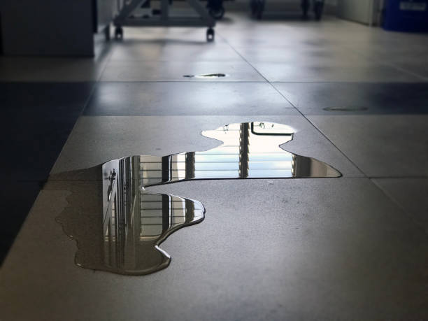 Best 24-hour water damage restoration  in Wetumka, OK