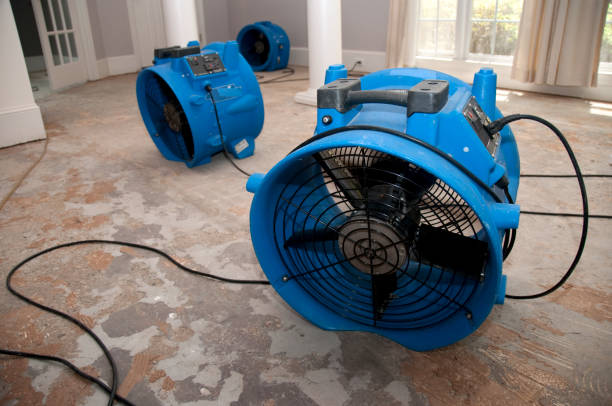 Best Flood restoration services  in Wetumka, OK