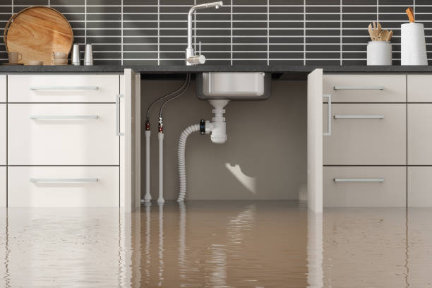 Best Flood damage cleanup  in Wetumka, OK