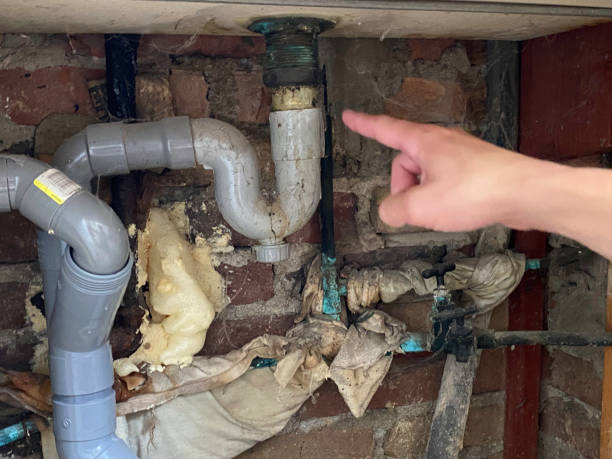 Best Carpet water damage restoration  in Wetumka, OK
