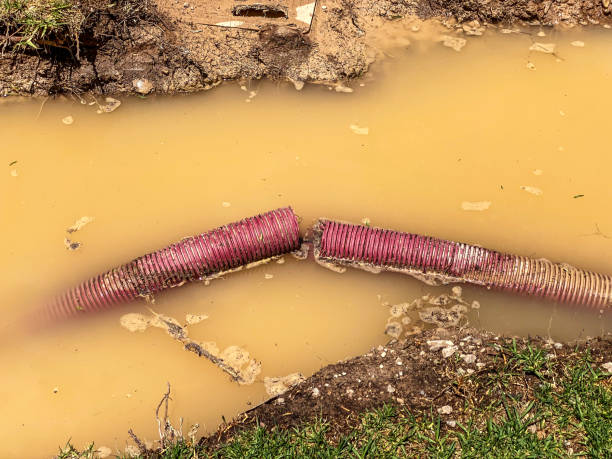 Best Water damage cleanup near me  in Wetumka, OK
